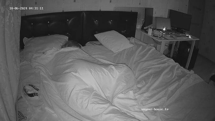 realm82-cam16-1728223226