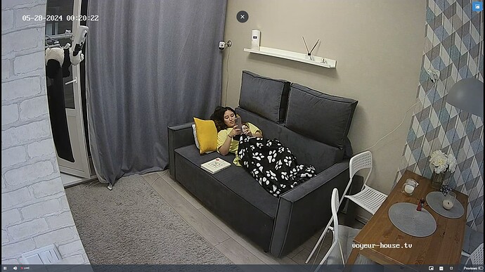 Ashampoo_Snap_lundi 27 mai 2024_23h21m0s_004_Living room camera at Fox reallifecam apartment at Voyeur House TV (cam16) - Google Chrome