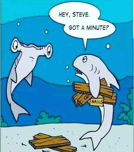 376258477_7396537323696009_6064239065135631461_n