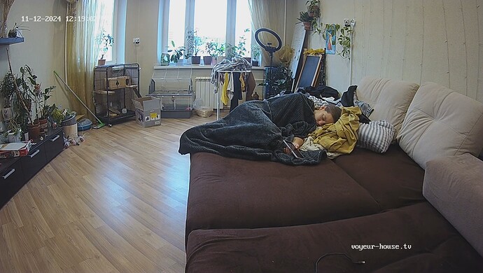 realm37-cam13-1731403177
