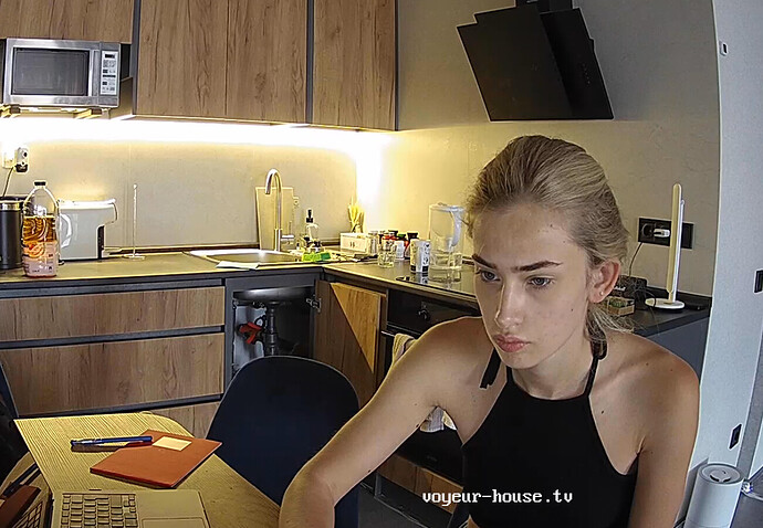 Screenshot 2023-06-12 at 07-22-51 Amelie & Lucas apartment with reallifecam cameras at Voyeur House TV