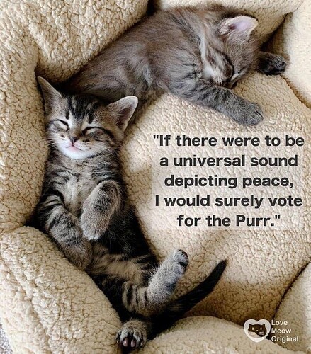 main-qimg-fb7f127fd2ca62fd90c7d5af672f62fc