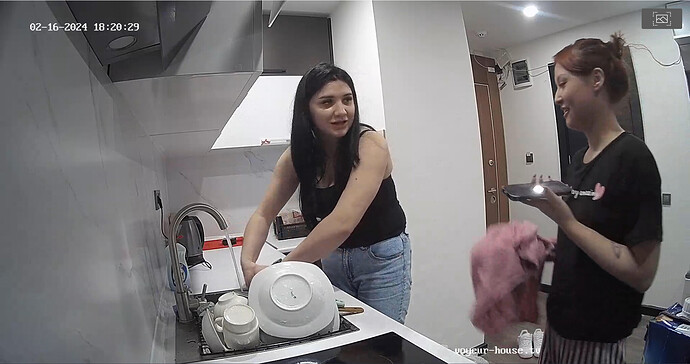 Screenshot 2024-02-16 at 10-01-44 Living room camera at Nikki reallifecam apartment at Voyeur House TV (cam15)