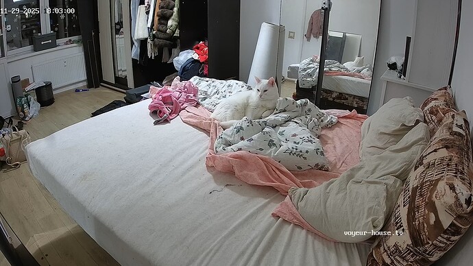 realm111-cam16-1764428624