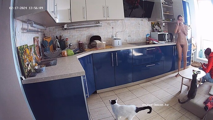 realm60-cam14-1708170917