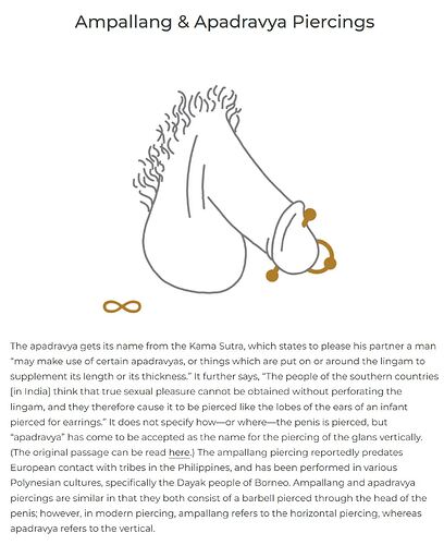 Apadravya Piercing