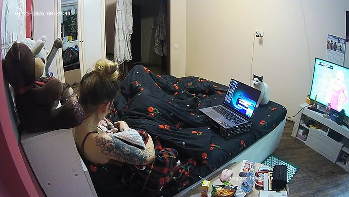 realm60-cam15-1769117527