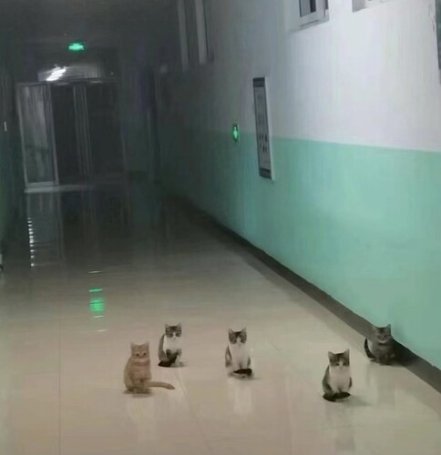 You all forget the key to the dorm