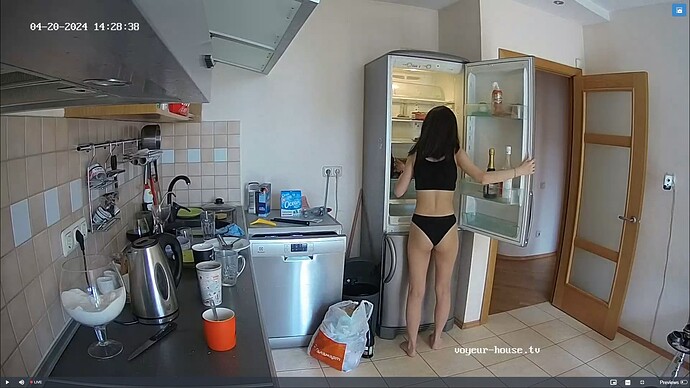 Ashampoo_Snap_samedi 20 avril 2024_10h29m1s_001_Kitchen camera at Tonk, Alexander & Martha reallifecam apartment at Voyeur House TV (cam11) - Google Chrome