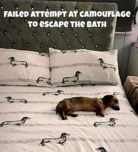 Camouflage