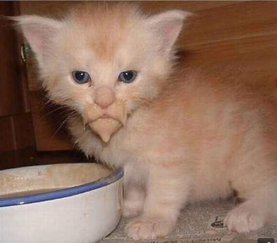 main-qimg-4040f342b03876a85c12a3e65633eca9