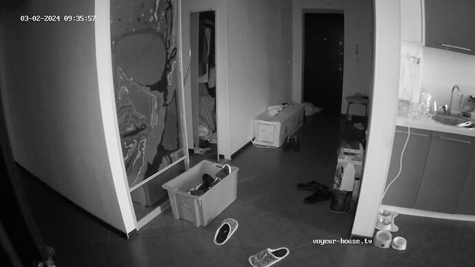 realm18-cam113-1709361405