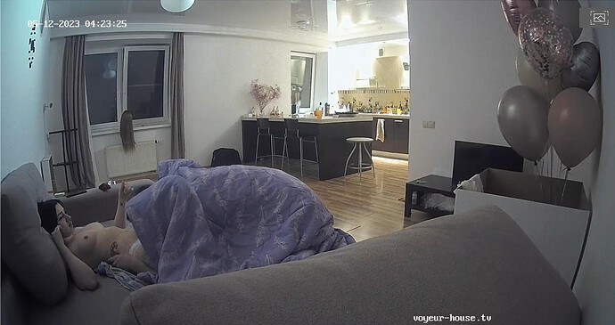 Screenshot 2023-05-11 at 18-23-52 Living room camera at Mira & Henry reallifecam apartment at Voyeur House TV (cam17)