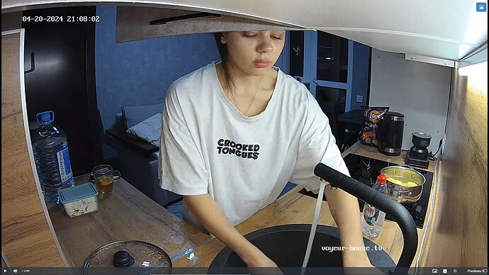 Ashampoo_Snap_samedi 20 avril 2024_20h8m38s_033_Kitchen camera at Marcel & Flora reallifecam apartment at Voyeur House TV (cam11) - Google Chrome