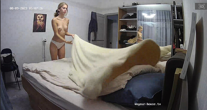 Screenshot 2023-08-08 at 22-37-05 Living room camera at Alida Gerda reallifecam apartment at Voyeur House TV (cam14)