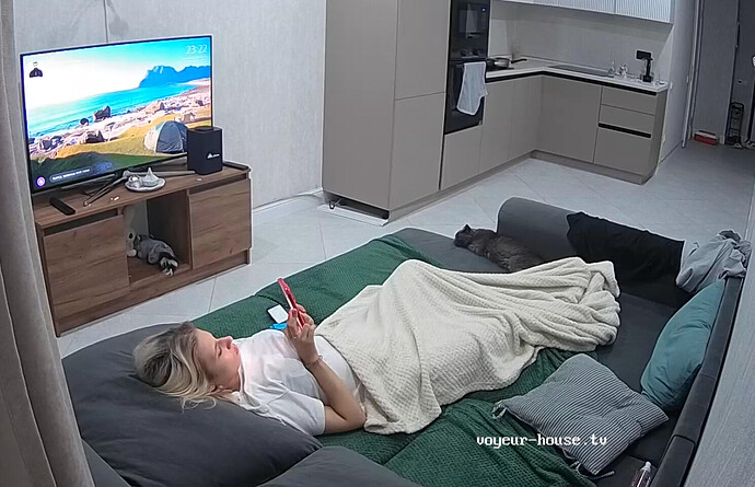 Screenshot 2023-08-18 at 16-23-13 Living room camera at Ceres reallifecam apartment at Voyeur House TV (cam15)