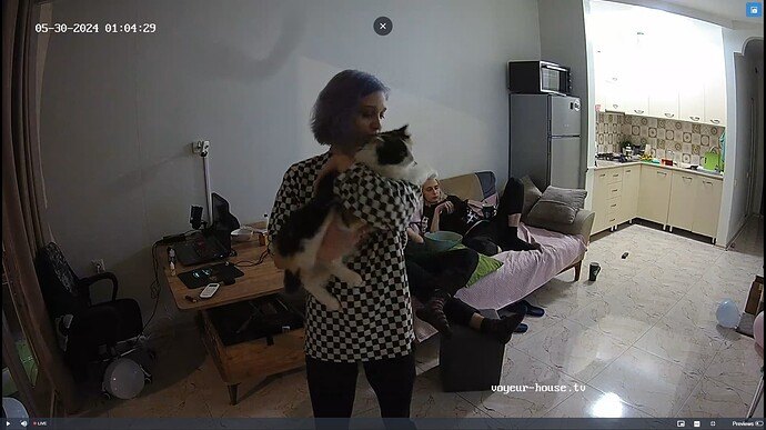 Ashampoo_Snap_mercredi 29 mai 2024_23h5m10s_033_Living room camera at Inira & Unuk reallifecam apartment at Voyeur House TV (cam13) - Google Chrome