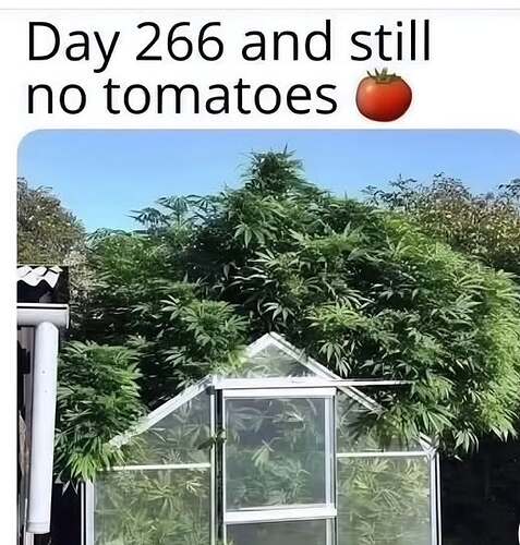 498938118_29808054462143737_2090045003075303041_n