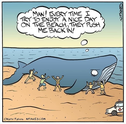 Day On Beach