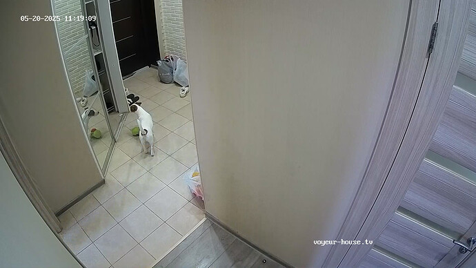 realm62-cam111-1747729185