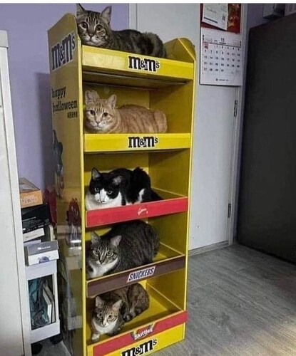 main-qimg-3f2af3f7843fcb37d6834ea1ffac6d8c