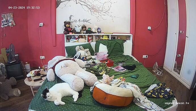 realm60-cam16-1713907439