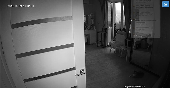 Capturar_2026_06_29_12_05_16_834