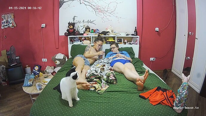 realm60-cam16-1713130872