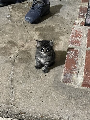 main-qimg-7a9bcfe1a3dc7794d3598c4a17977031-lq