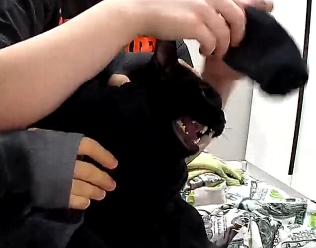 Screenshot 2025-12-10 173846