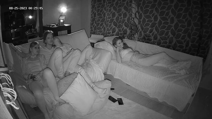 realm55-cam16-1692901821