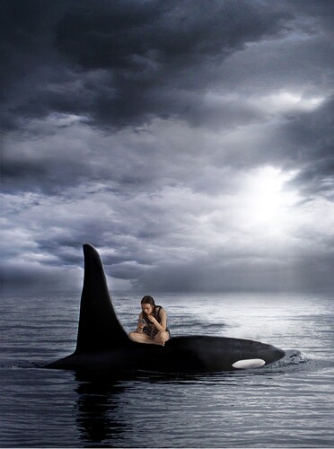 WhaleTour1