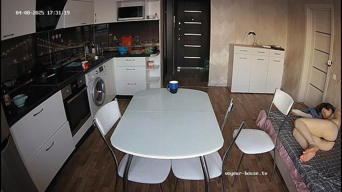 Ashampoo_Snap_mardi 8 avril 2025_16h31m58s_001_Kitchen camera at Tea reallifecam apartment at Voyeur House TV (cam12) - Google Chrome