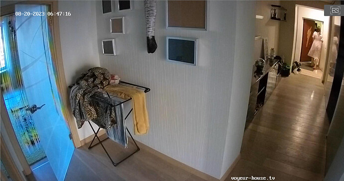 Screenshot 2023-08-20 at 03-56-44 Bedroom camera at Momo reallifecam apartment at Voyeur House TV (cam18)