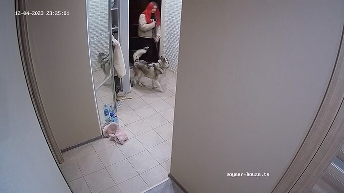 realm62-cam111-1701727174