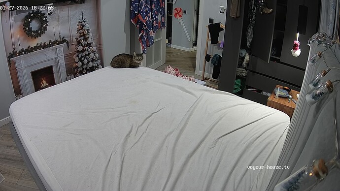 realm144-cam16-1769527360