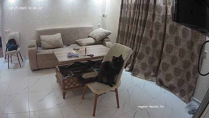 realm65-cam14-1710871562