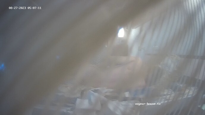 realm55-cam112-1693091324