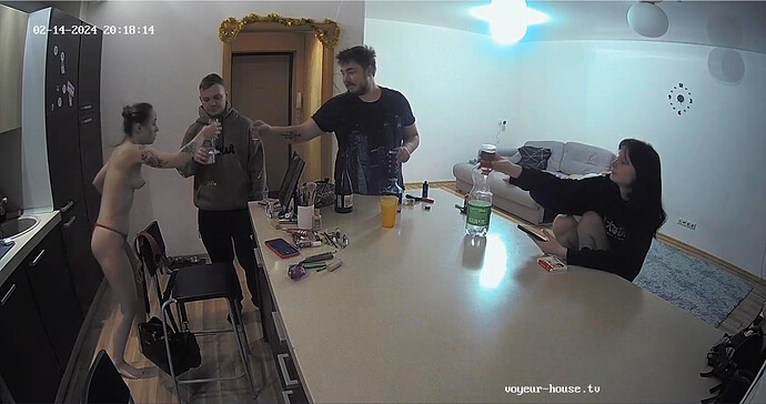 Screenshot 2024-02-14 at 09-54-34 Kitchen camera at Jovanna reallifecam apartment at Voyeur House TV (cam12)