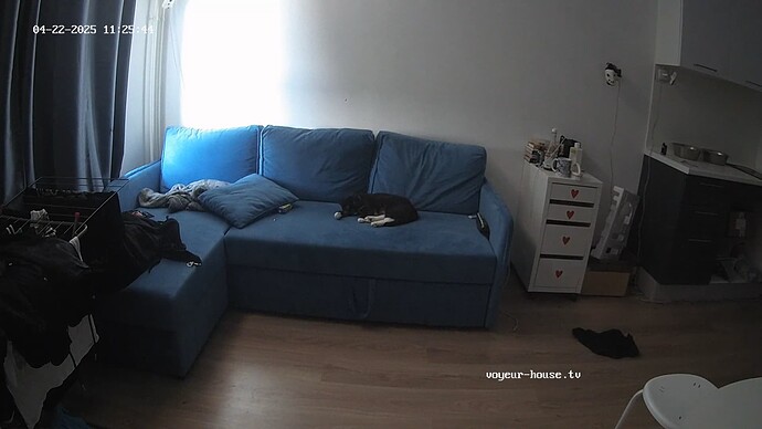 videoframe_3714