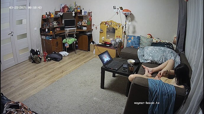 Ashampoo_Snap_jeudi 20 mars 2025_22h19m21s_008_Living room camera at Camille reallifecam apartment at Voyeur House TV (cam15) - Google Chrome