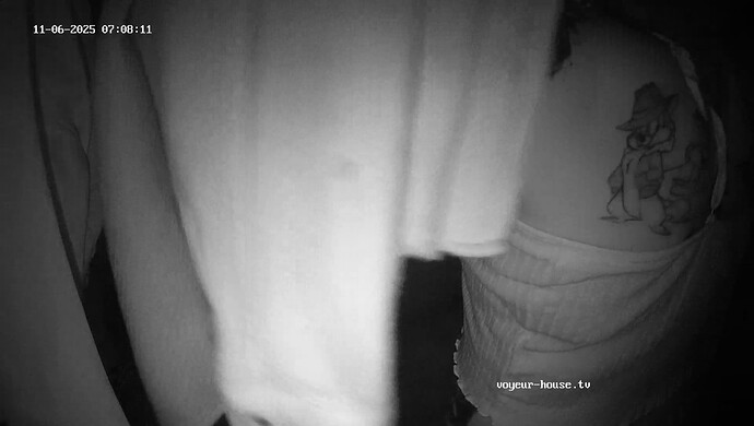 realm120-cam110-1762408701