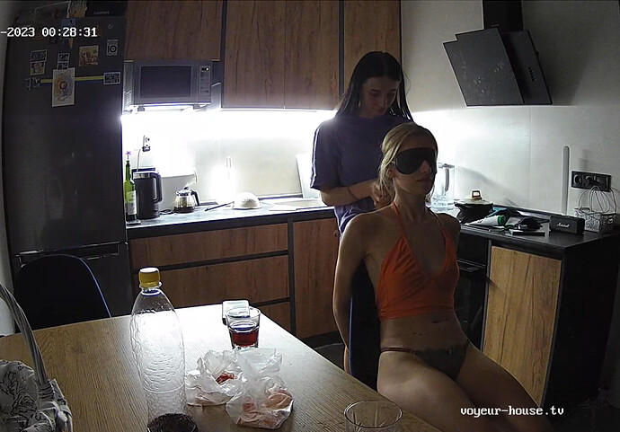 Screenshot 2023-07-31 at 17-30-34 Kitchen camera at Amelie & Lucas reallifecam apartment at Voyeur House TV (cam12)