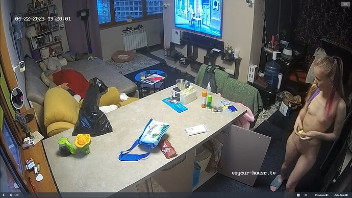 Ashampoo_Snap_samedi 22 avril 2023_18h24m3s_006_Clara & Stas apartment with reallifecam cameras at Voyeur House TV - Google Chrome
