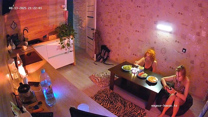 realm64-cam12-1755109356