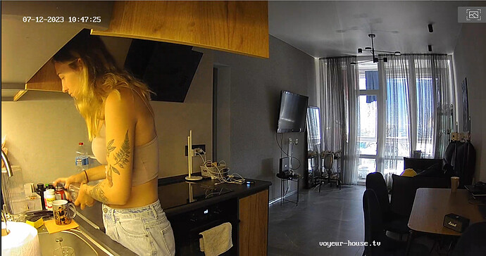 Screenshot 2023-07-12 at 03-48-41 Voyeur House TV 🔥 – #1 FREE Source for hidden real life cams