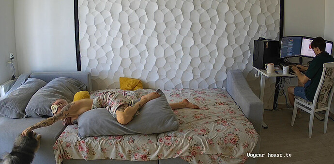 Screenshot 2023-08-22 at 10-16-37 Living room camera at Lynda & Blade reallifecam apartment at Voyeur House TV (cam15)