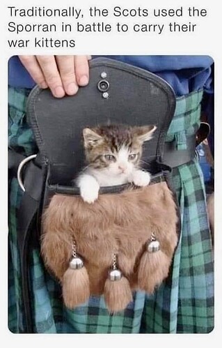 main-qimg-2ca75a2cff2861a64ab87aa4a2c6a928