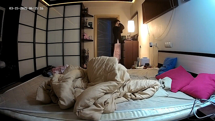 realm55-cam112-1741997794