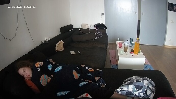 realm55-cam15-1739704451